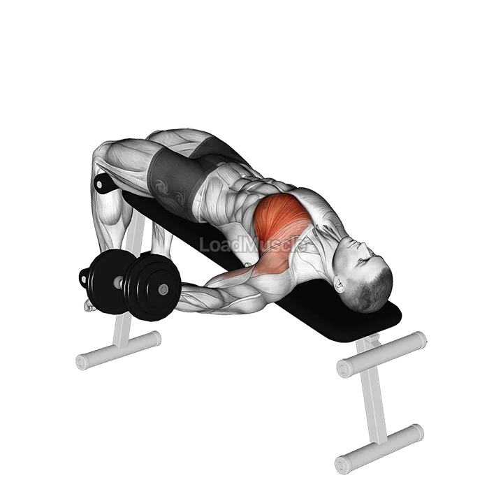 Dumbbell Decline One Arm Fly demonstration