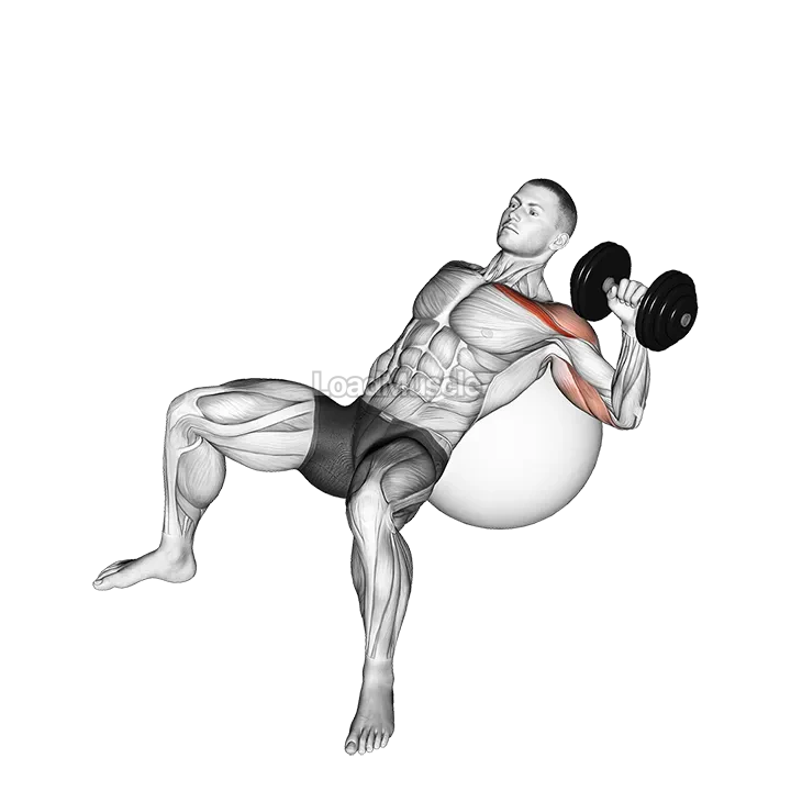 Dumbbell Incline One Arm Press on Exercise Ball demonstration