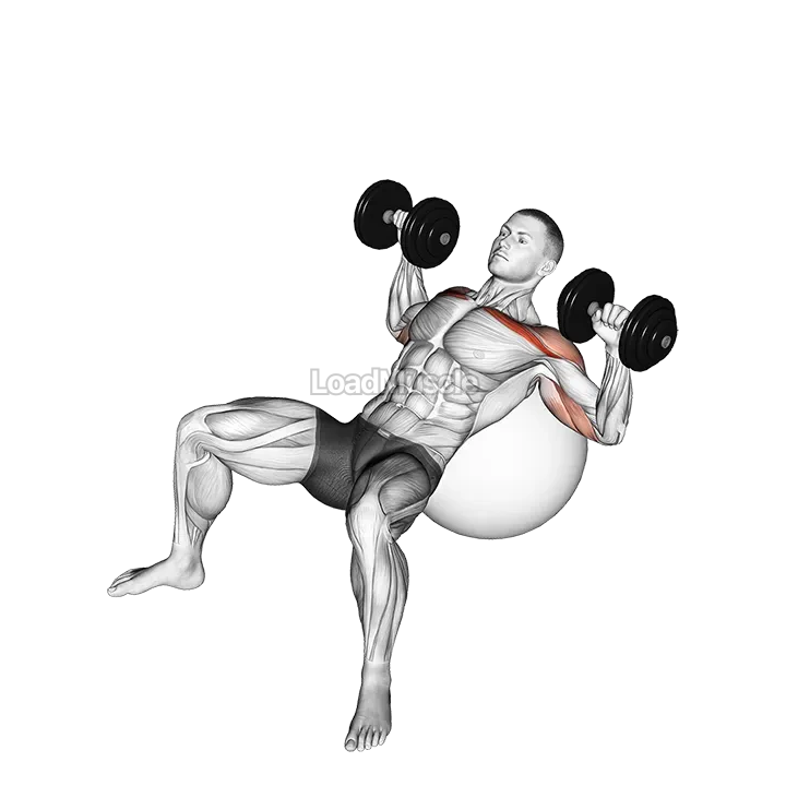 Dumbbell Incline Press on Exercise Ball demonstration