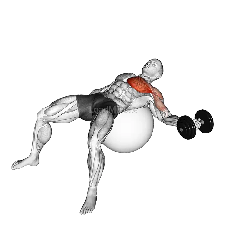 Dumbbell One Arm Chest Fly on Exercise Ball demonstration