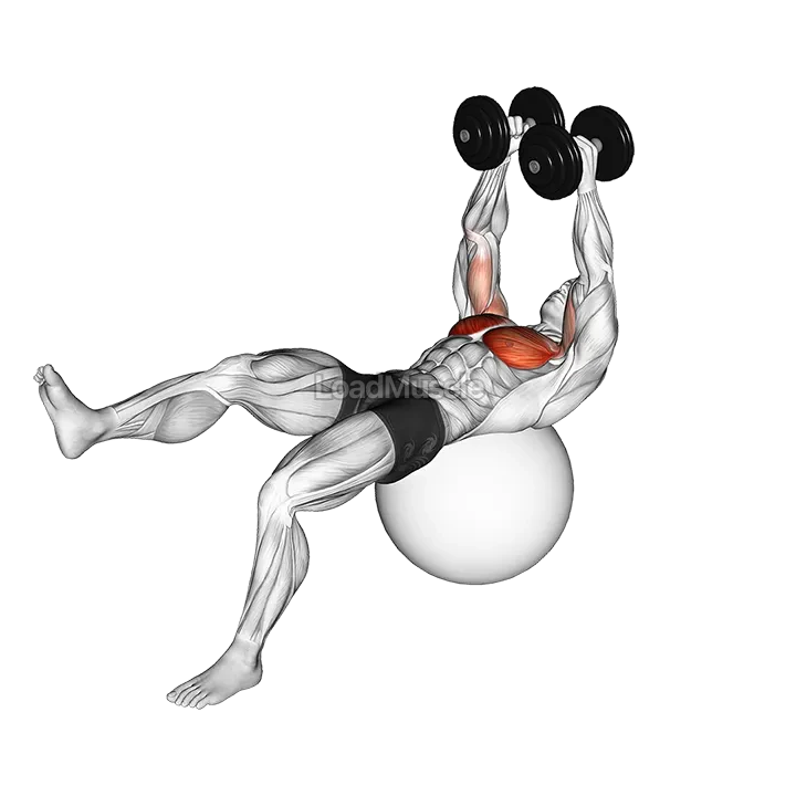 Dumbbell One Leg Fly on Exercise Ball demonstration