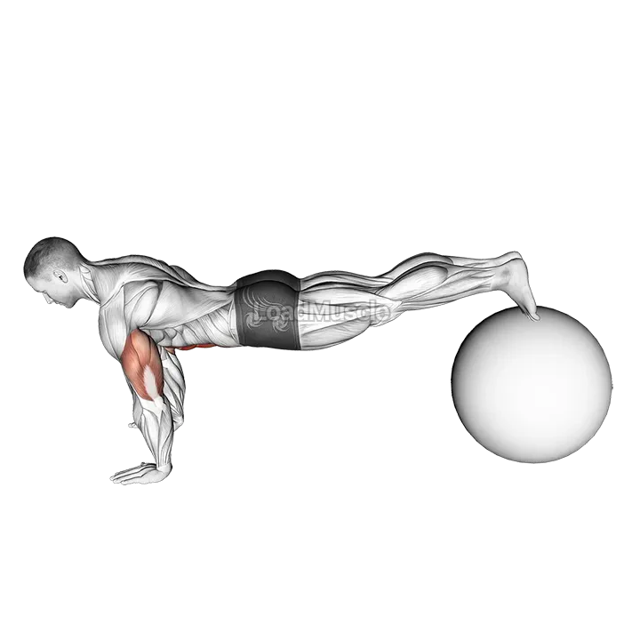 Exercise Ball Pike Pushup demonstration