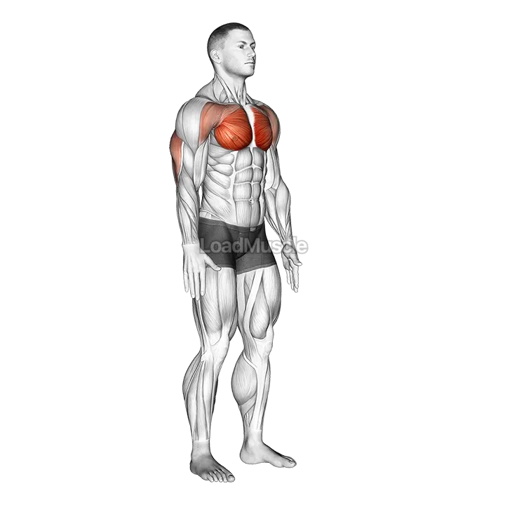 Isometric Chest Squeeze demonstration