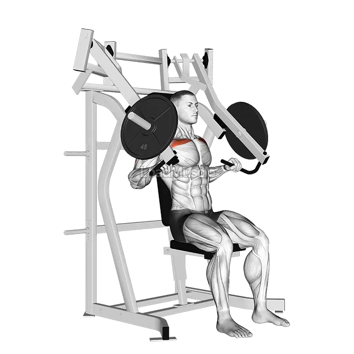 Leverage Incline Chest Press demonstration