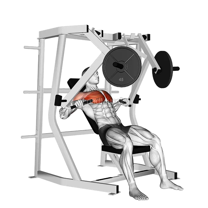 Lever Decline Chest Press demonstration