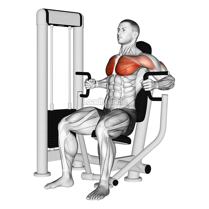 Machine Inner Chest Press demonstration