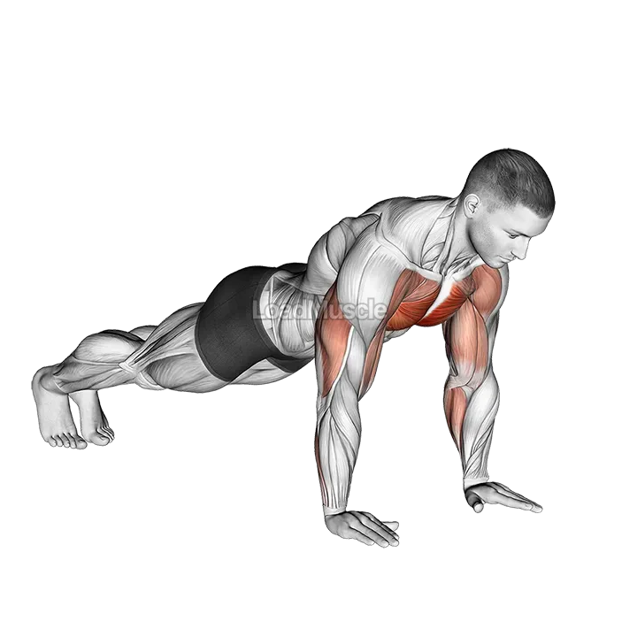 Plyo Push Up demonstration