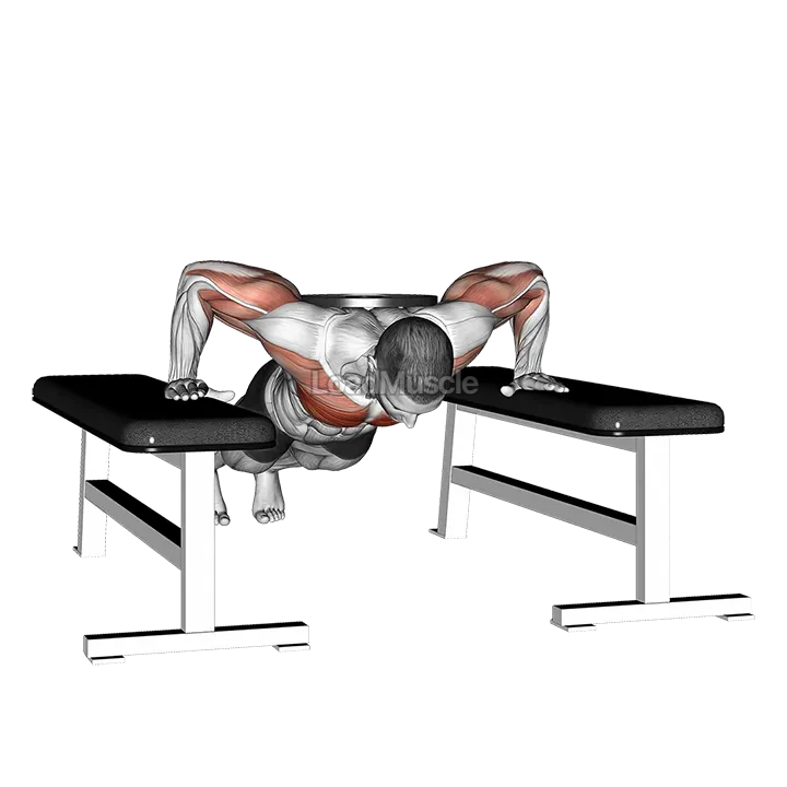 Weighted Drop Push Up demonstration