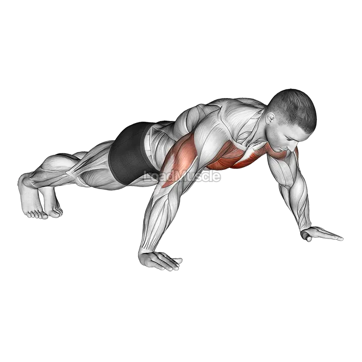 Wide Hand Push up demonstration