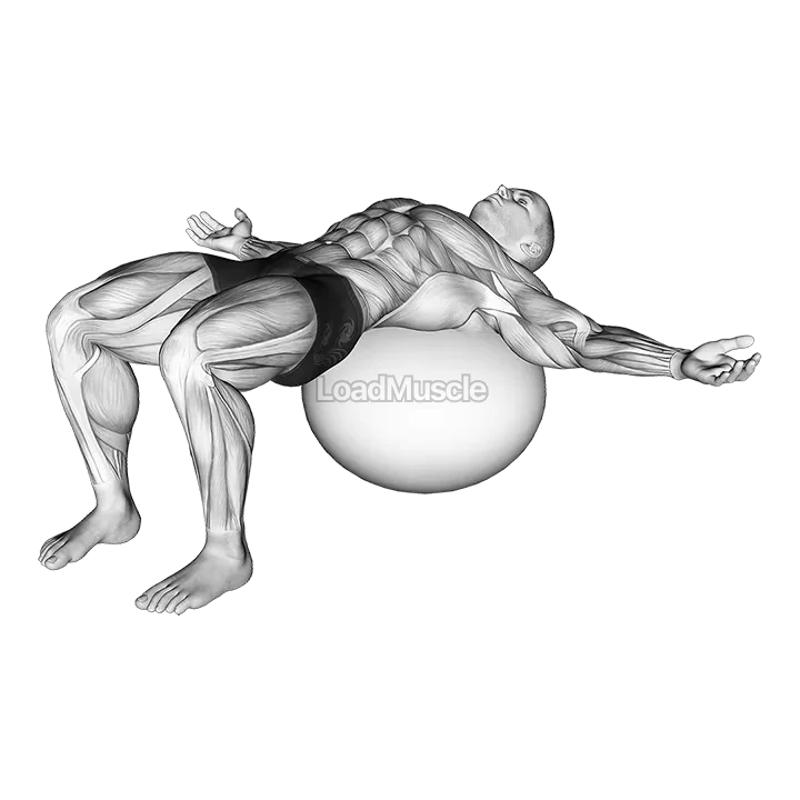 Back Relaxation demonstration