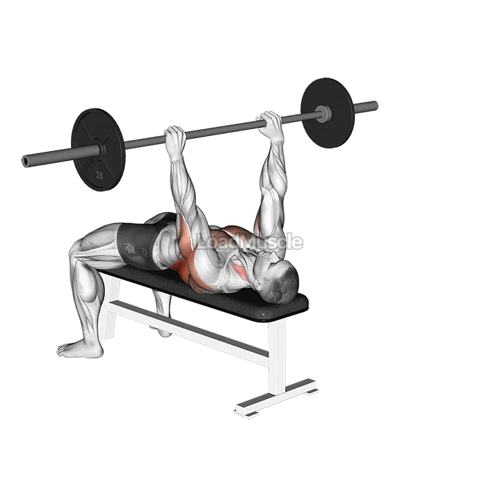 Barbell Bent Arm Pullover demonstration