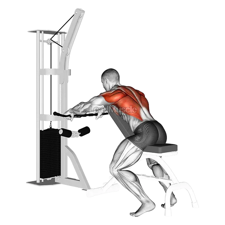 Cable Incline Bench Row demonstration