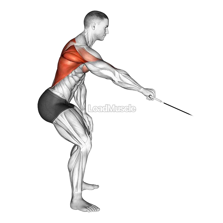 Cable Palm Rotational Row demonstration