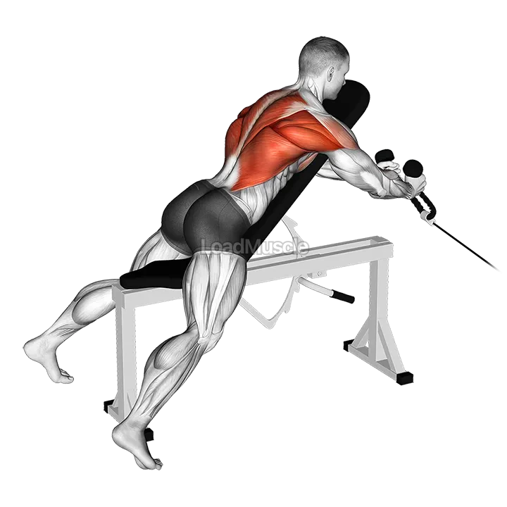 Cable Rope Extension Incline Bench Row demonstration