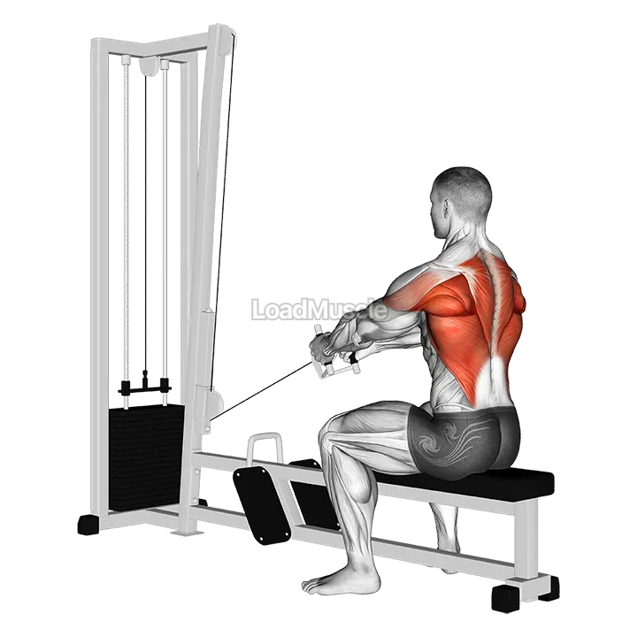 Cable Upper Row demonstration