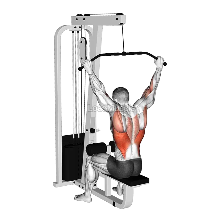 Cable Wide Grip Behind Neck Pulldown demonstration