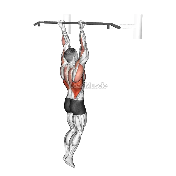 Chin Up demonstration