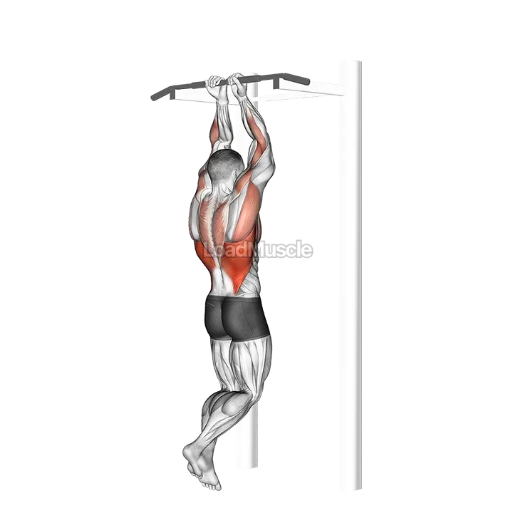 Close Grip Chin Up demonstration