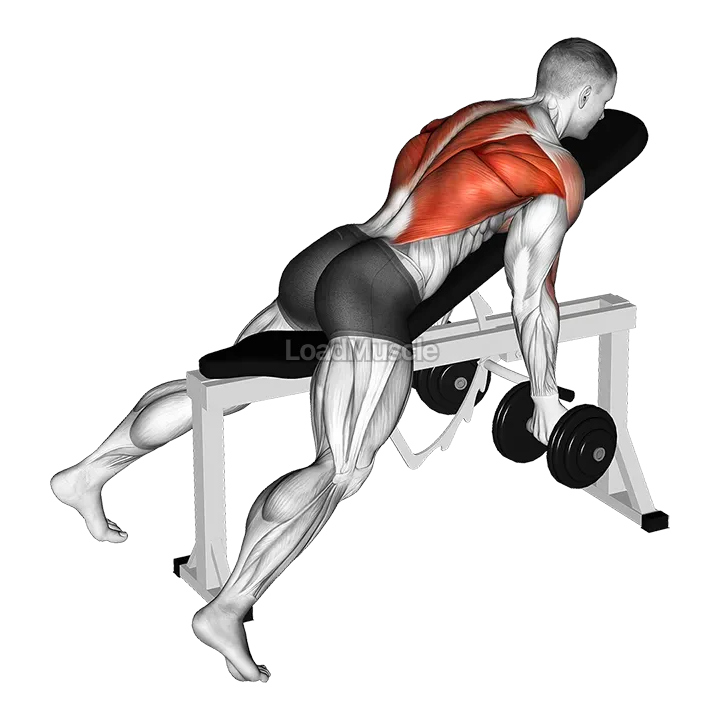 Dumbbell Lying Rear Delt Row demonstration