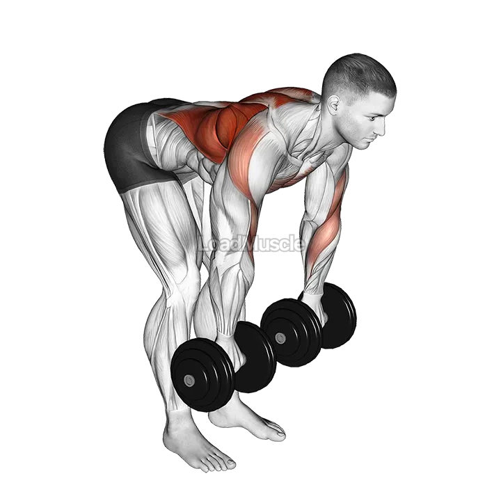 Dumbbell Palm Rotational Bent Over Row demonstration
