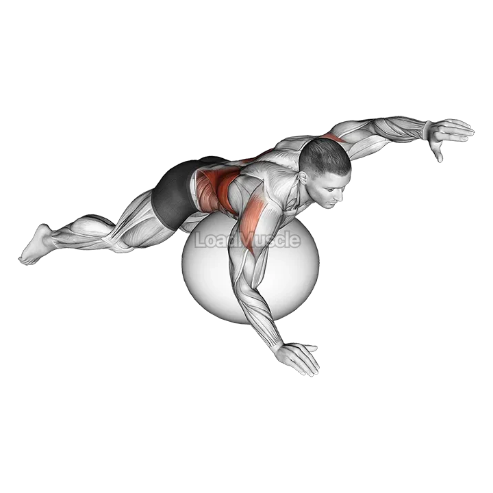 Exercise Ball Alternating Arm Ups demonstration