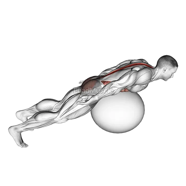 Exercise Ball Back Extension With Rotation demonstration