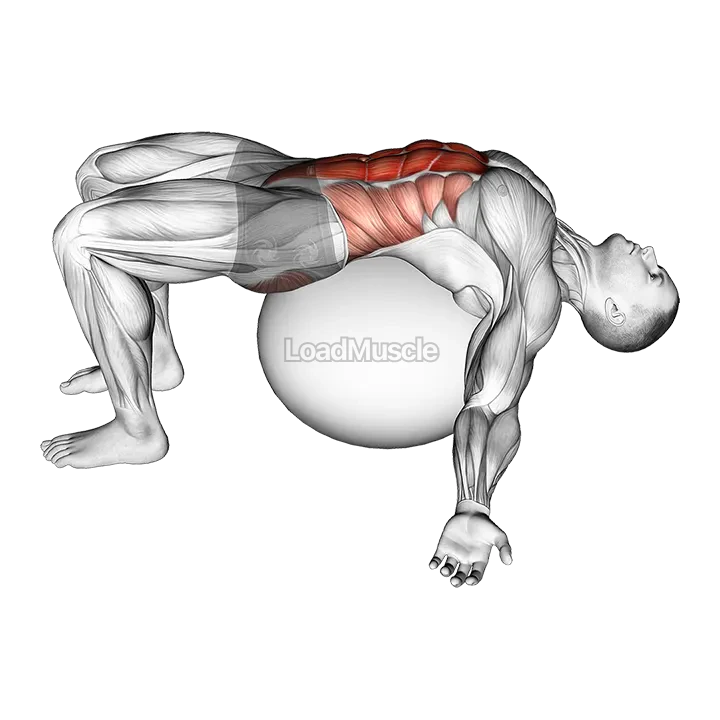Exercise Ball Back Stretch demonstration