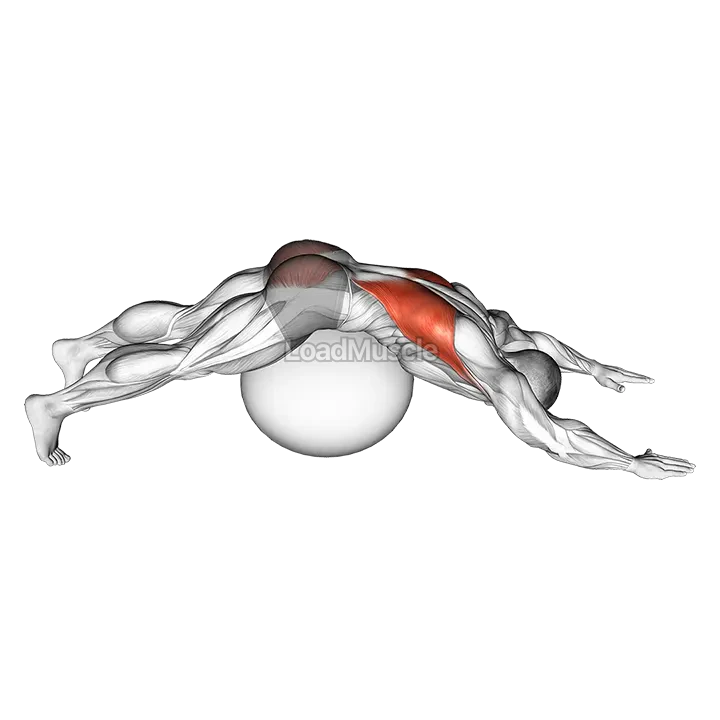 Exercise Ball Lower Back Prone Stretch demonstration