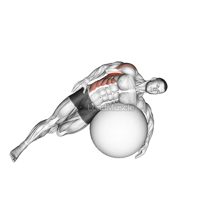 Exercise Ball Lying Side Lat Stretch demonstration