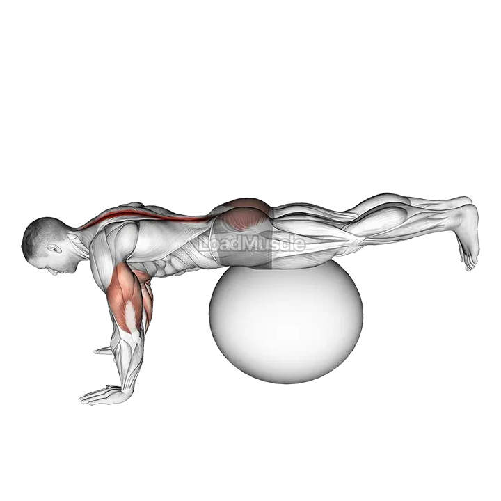Exercise Ball Prone Leg Raise demonstration