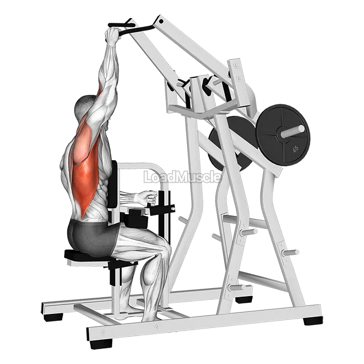 Lever One Arm Lateral Wide Pulldown (plate loaded) demonstration