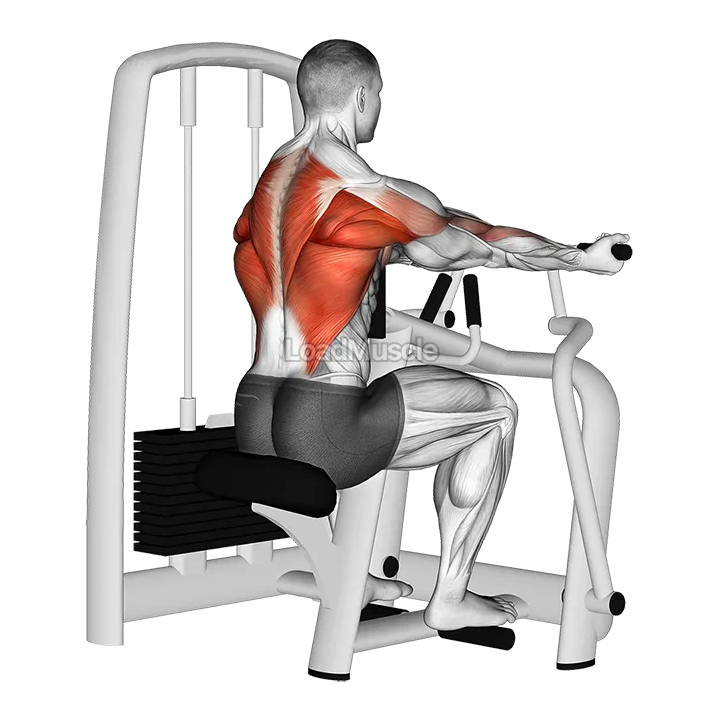 Lever Reverse Grip Vertical Row demonstration