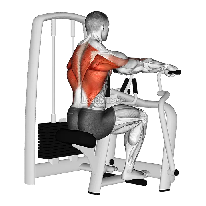Lever Seated Row demonstration