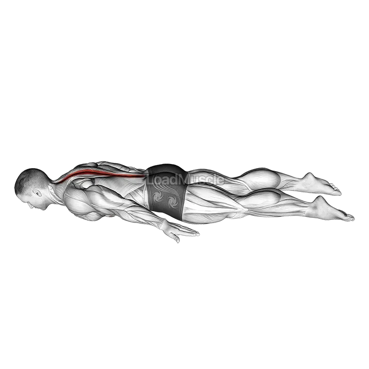 Lower Back Curl demonstration