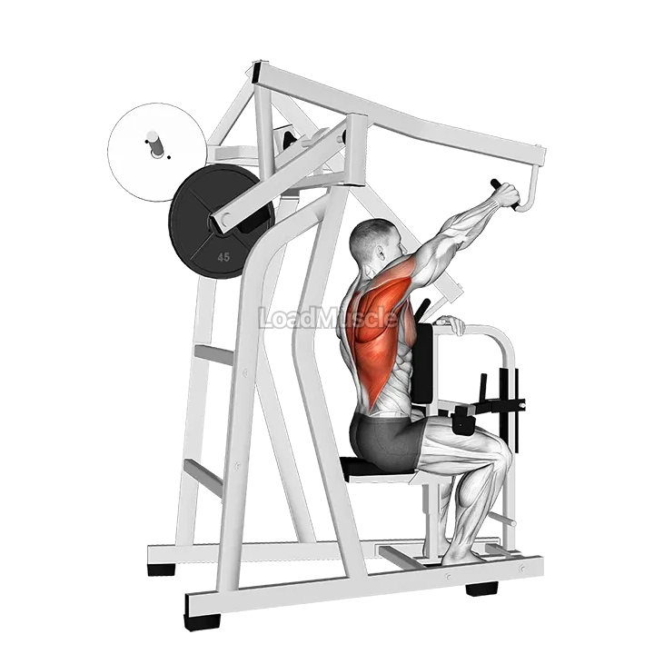 Lever One Arm Lateral High Row demonstration