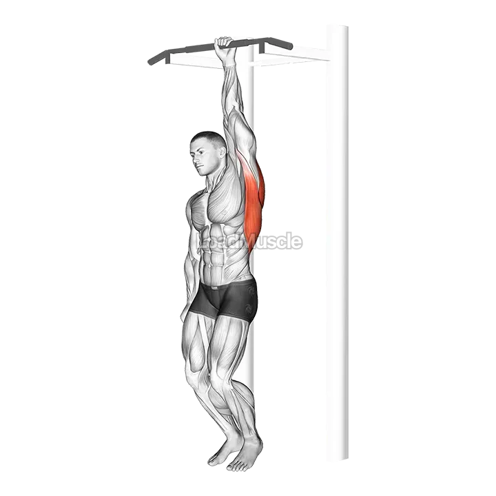 One Handed Hang demonstration