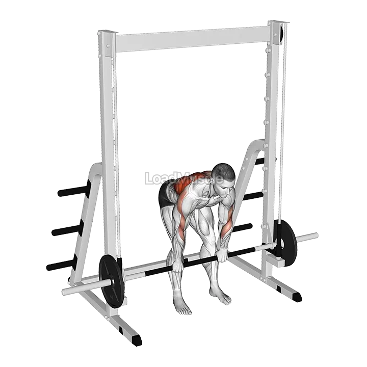 Smith Bent Over Row demonstration