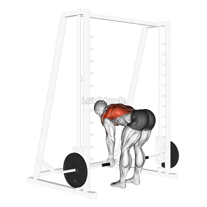 Smith Reverse Grip Bent Over Row demonstration