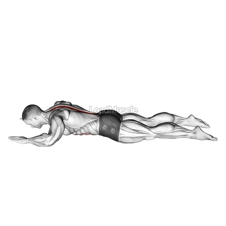 Sphinx demonstration