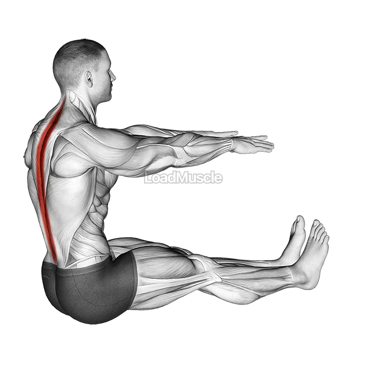 Spine Stretch demonstration