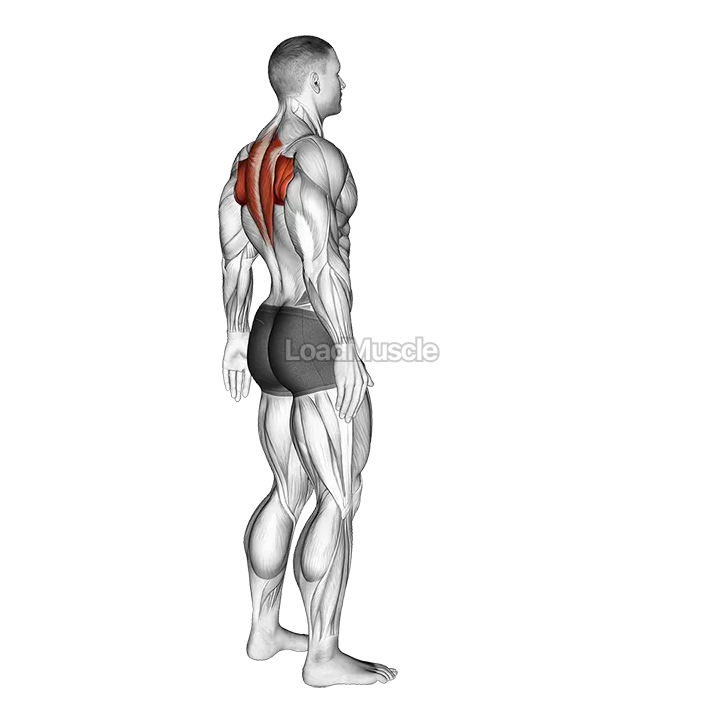 Upper Back Stretch demonstration