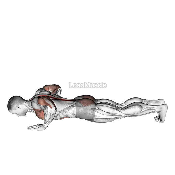 Upward Facing Dog demonstration