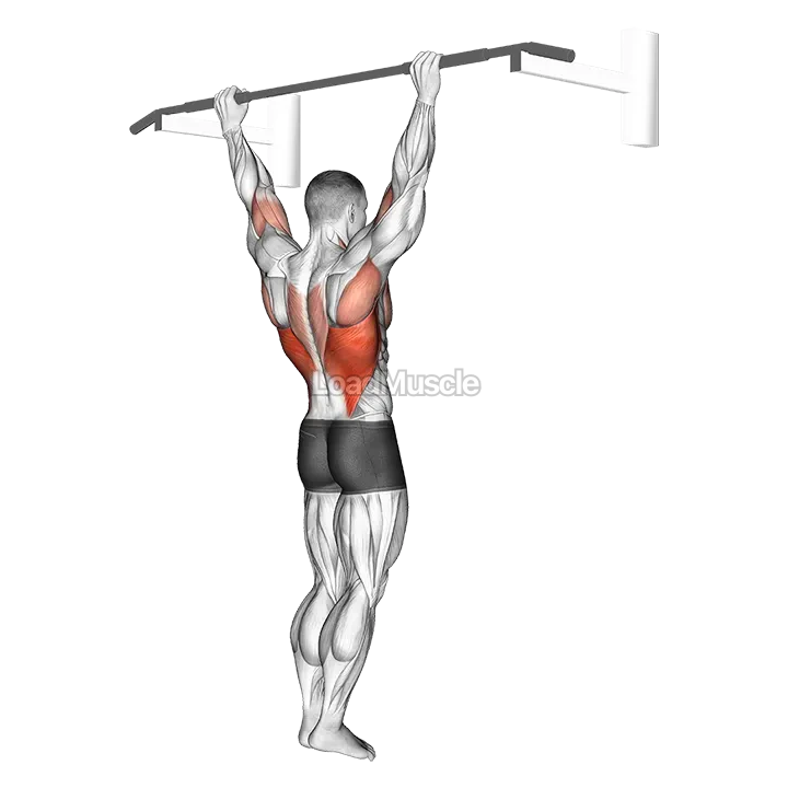 Wide Grip Rear Pull Up demonstration