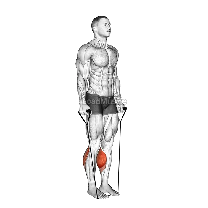 Band Two Legs Calf Raise - (Band under both legs) demonstration