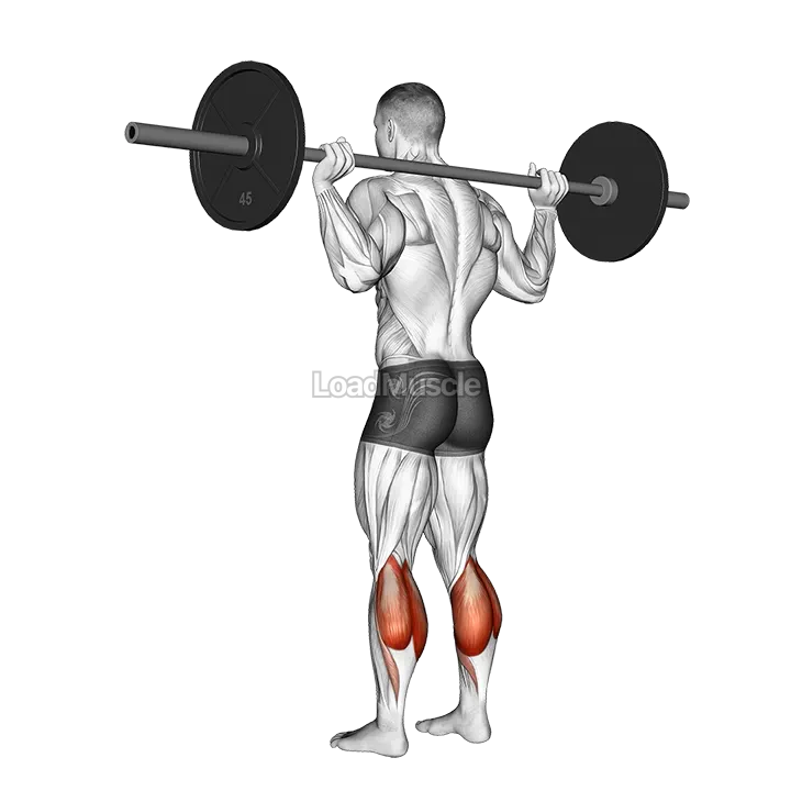 Barbell Floor Calf Raise demonstration
