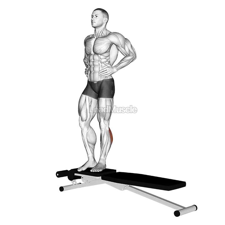 Box Jump Down with 1 Leg Stabilization demonstration