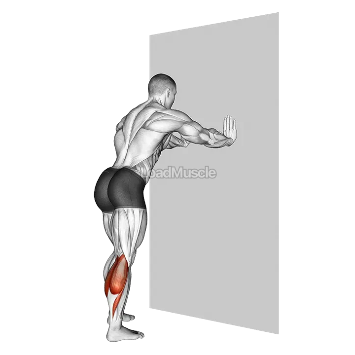 Calf Stretch With Hands Against Wall demonstration