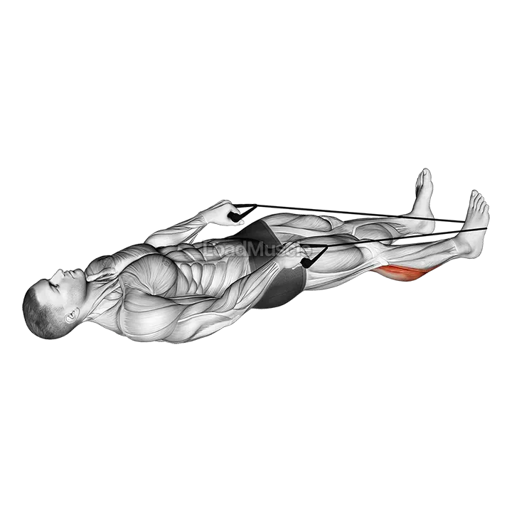 Calf Stretch with Rope demonstration