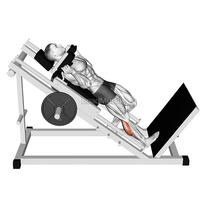 Hack One Leg Calf Raise demonstration