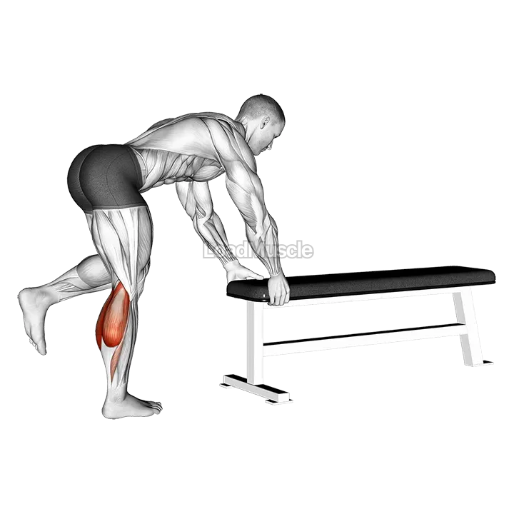 One Leg Donkey Calf Raise demonstration